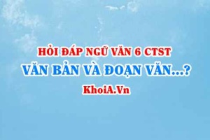 Văn bản là gì? Đoạn văn là gì? Đặc điểm chức năng của văn bản và đoạn văn là gì? Ngữ văn lớp 6 CTST